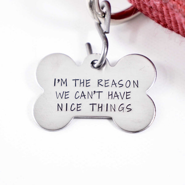 Pet ID Tag -  "I'm the reason we can't have nice things" - Completely Hammered